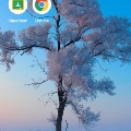 Parul
